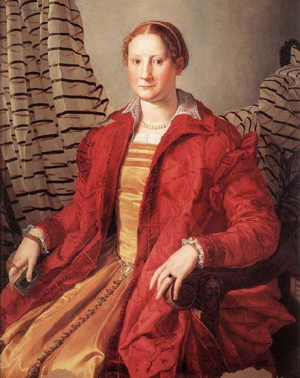 Agnolo Bronzino Portrait of a Lady France oil painting art